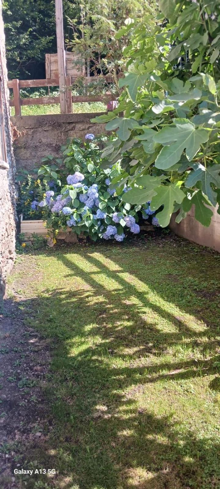 הוילה Corteno Golgi Casa Valentino מראה חיצוני תמונה